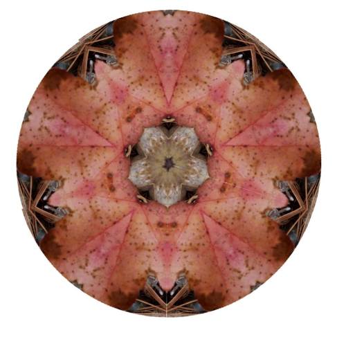 14680751_10210672670277604_476988596958143429_n